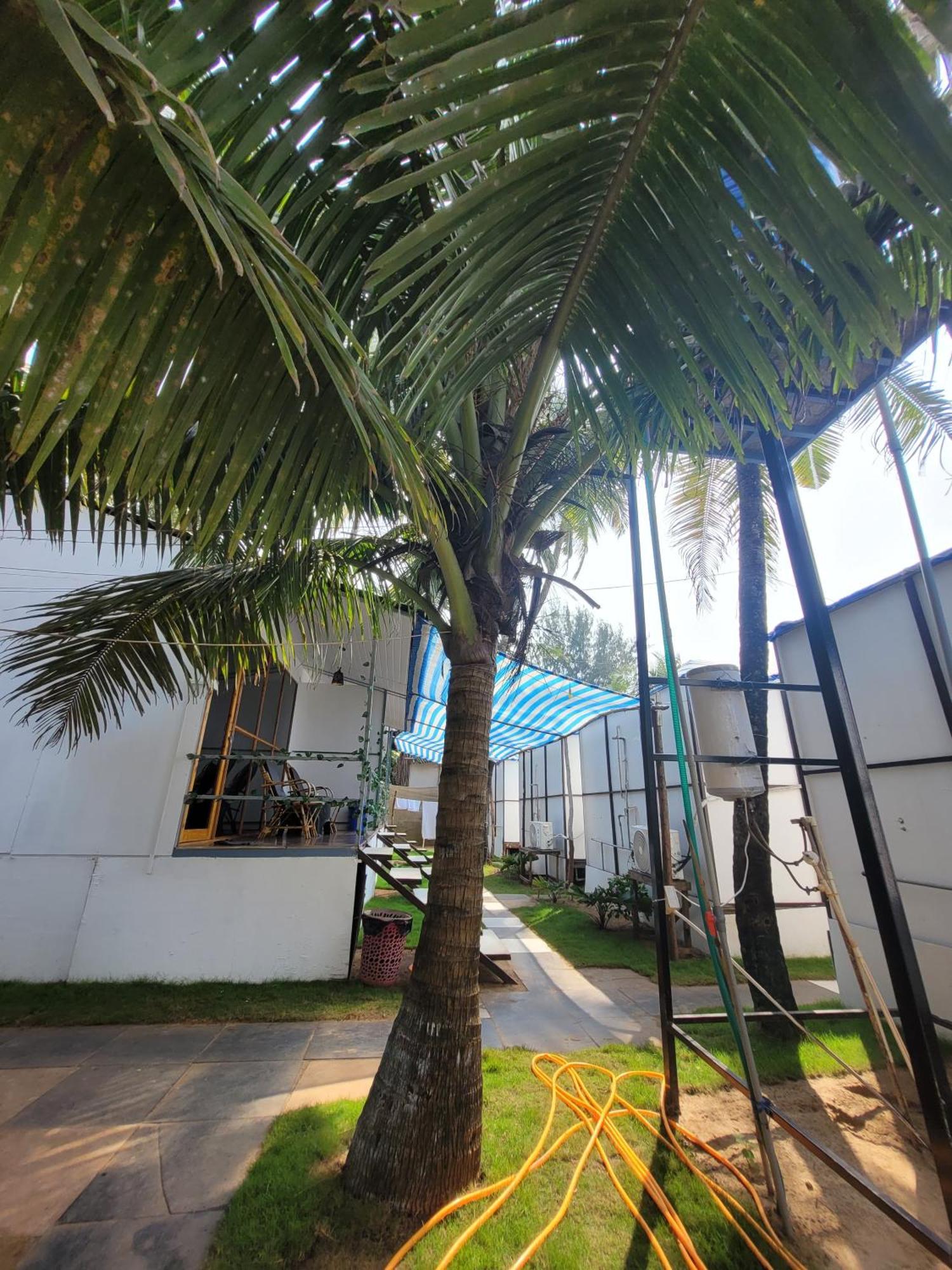 Kashinath Beach Huts Agonda Exteriör bild